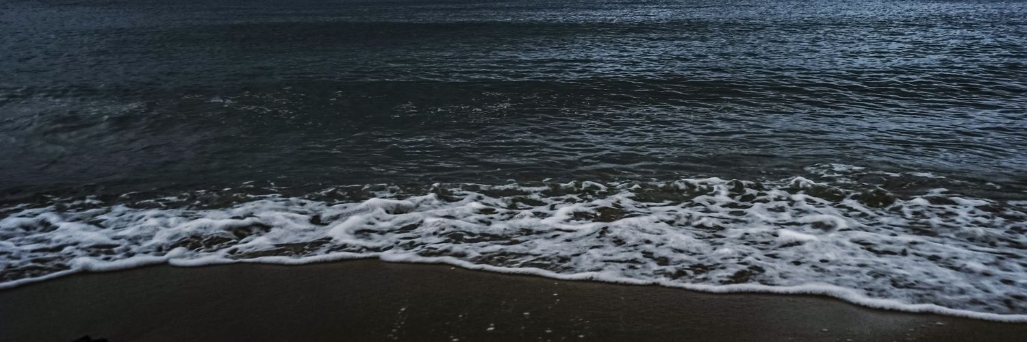 紅でしょうが banner