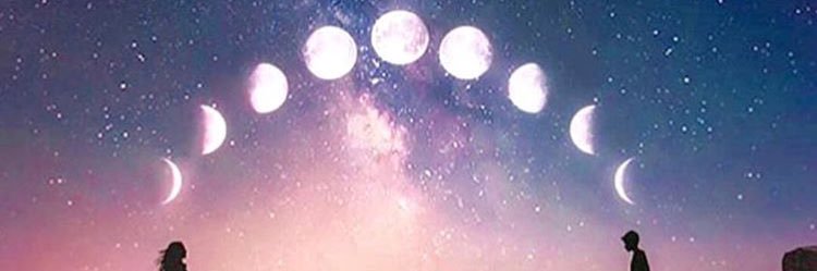tarathewoodelf's profile banner image