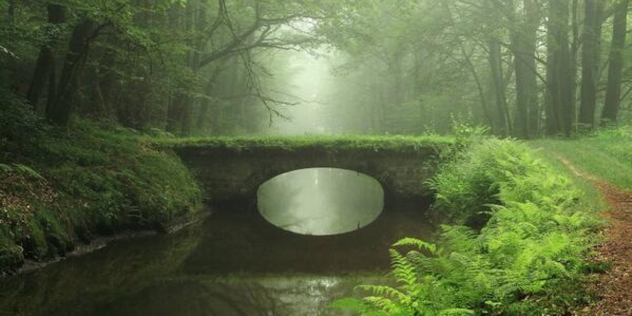 Debi Schlutow banner