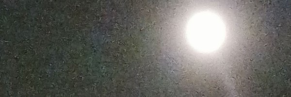 RickAmericus Profile Banner