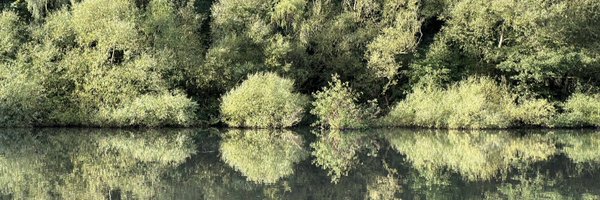 R1chardatron Profile Banner