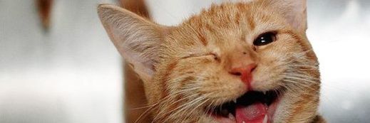 cintyameliza's profile banner image