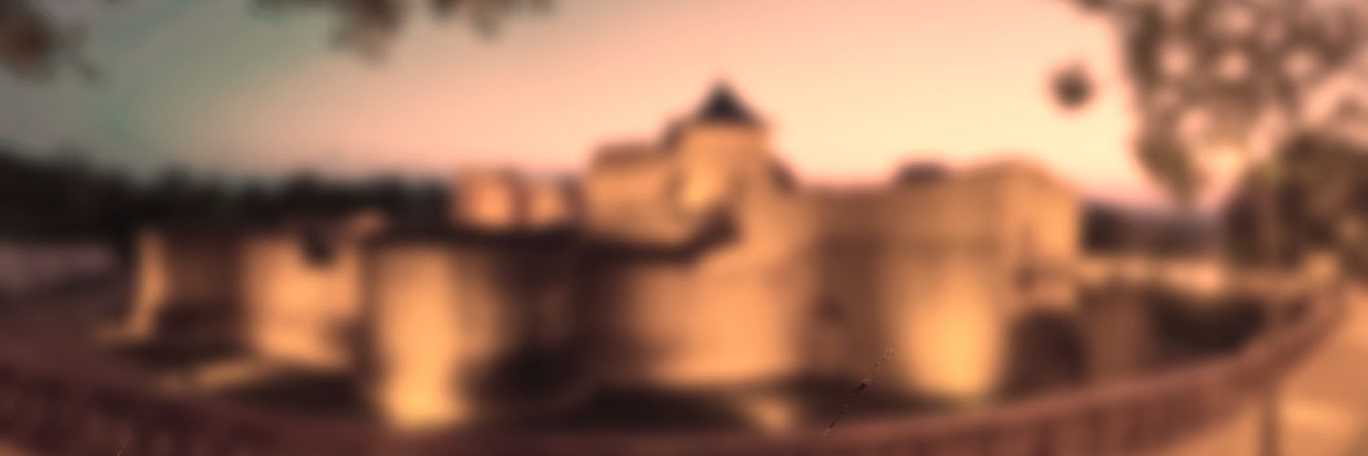 xVoevoDx's profile banner image