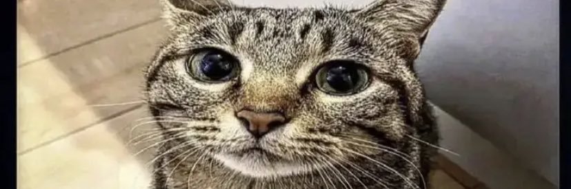 seriousfellow92 banner