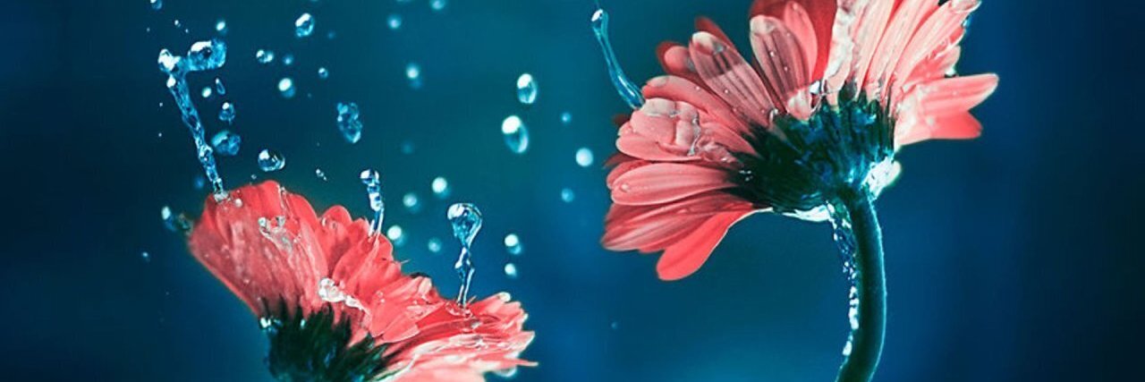 khongthoi66's profile banner image