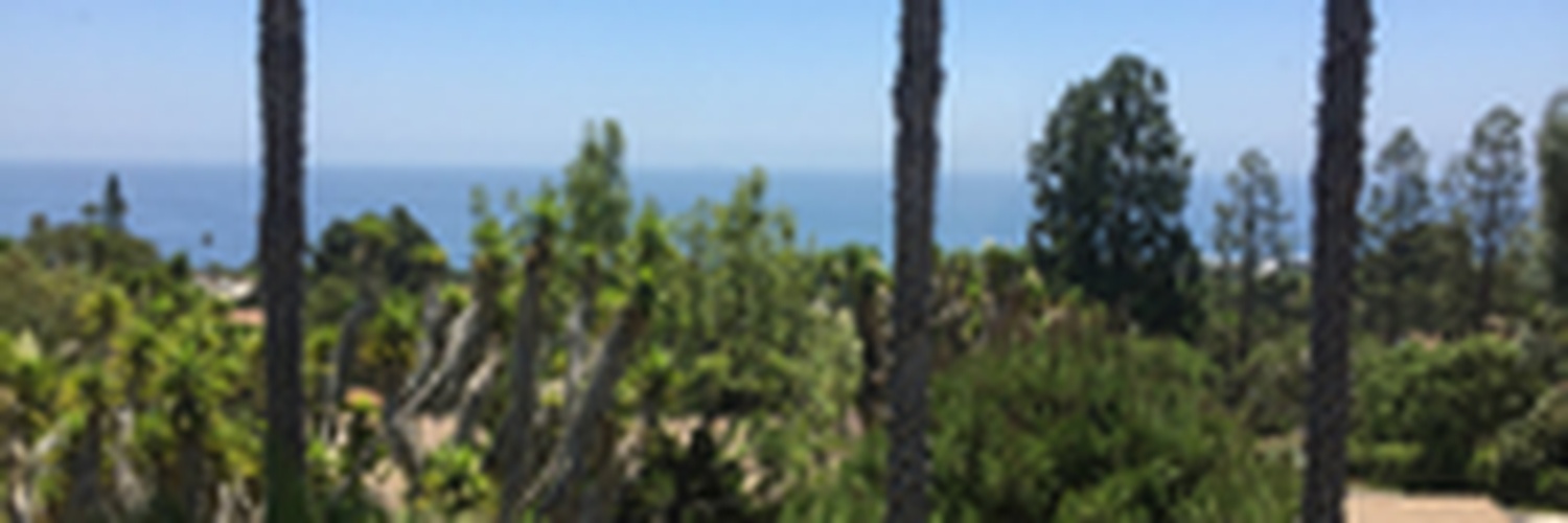 theseanandrew's profile banner image