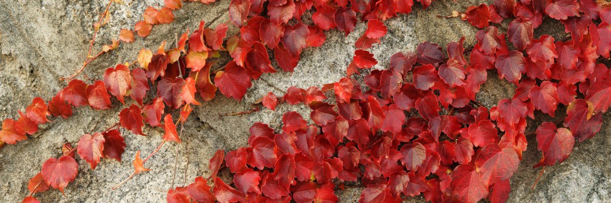handesell's profile banner image
