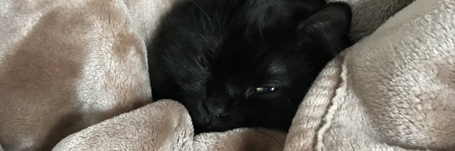 allympenguin's profile banner image