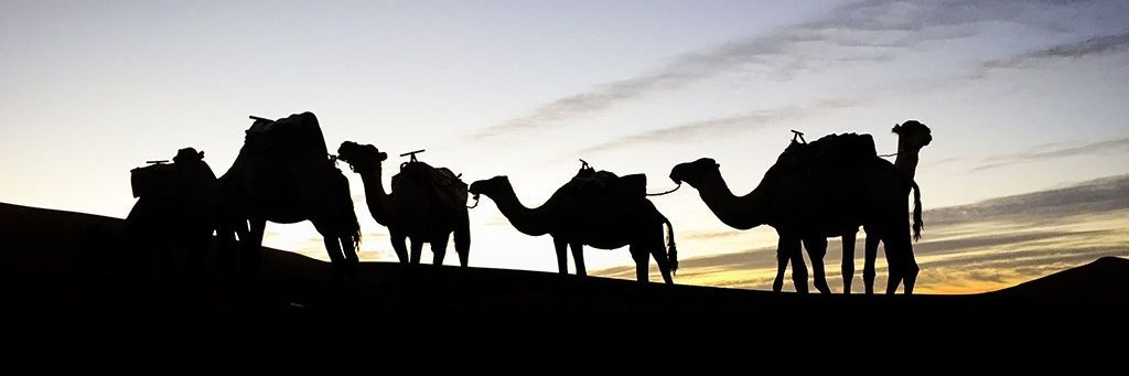 myriamboni's profile banner image