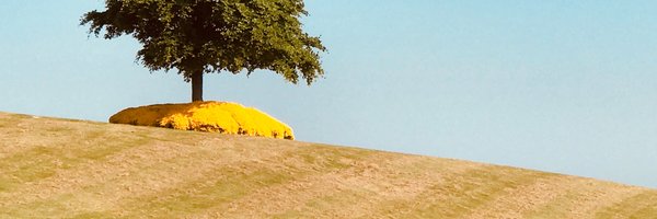 faatz Profile Banner