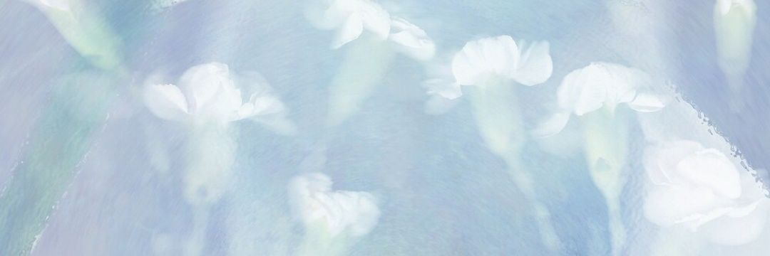 Yeaaaarimmmm's profile banner image