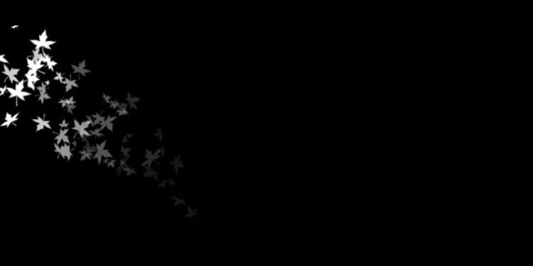 Grace A. Canlas banner