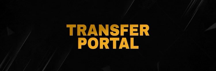 Portal Manager banner