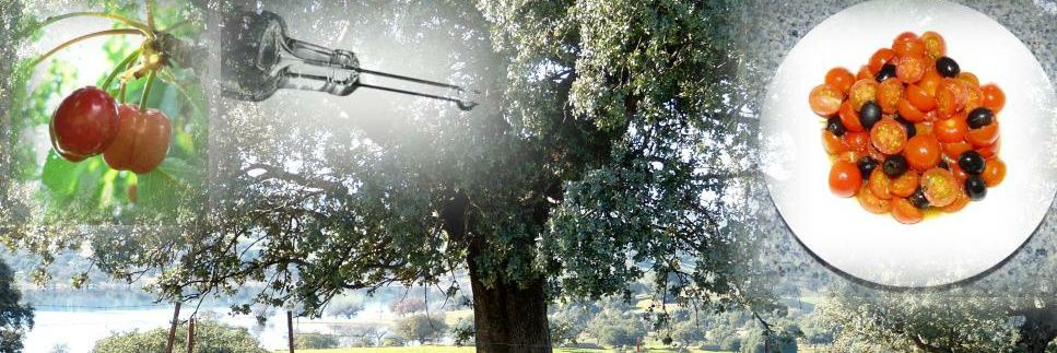 Salud Pública - Extremadura banner