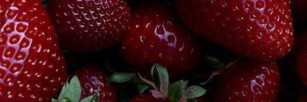 shoqosimova1 Profile Banner