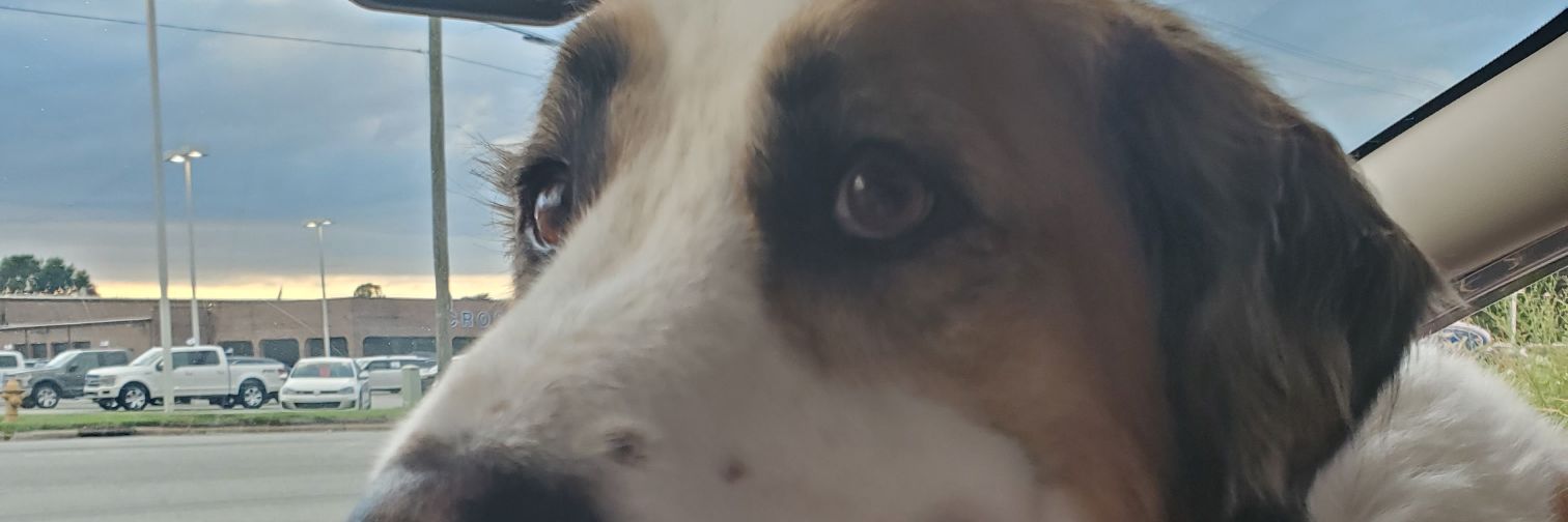 BraffordJimmy's profile banner image