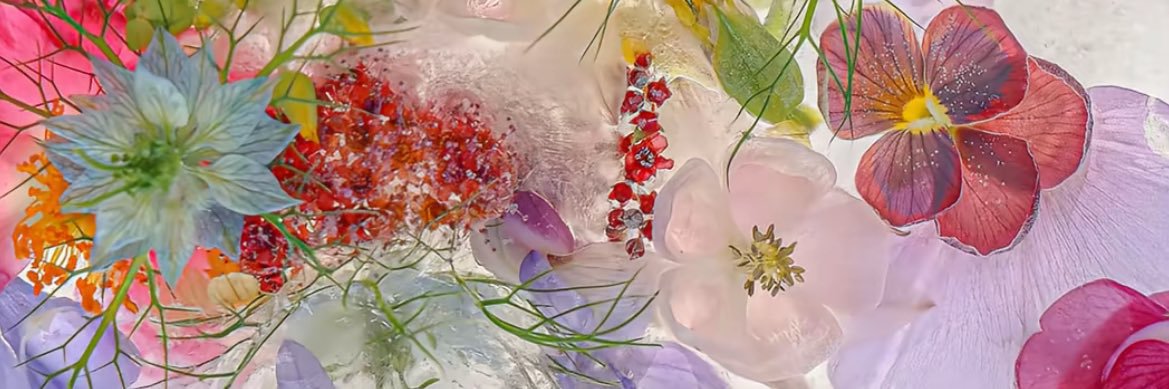 bbgossipgrl's profile banner image