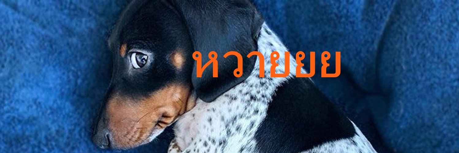 ttiopทิพร์'s banner