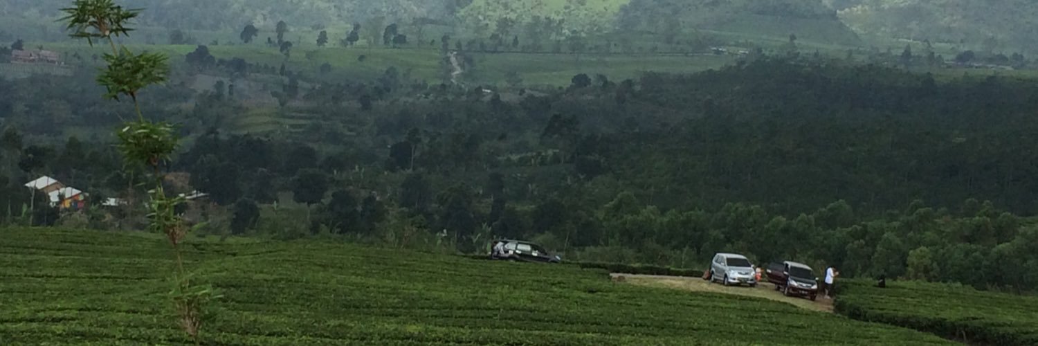 bbanenzi's profile banner image