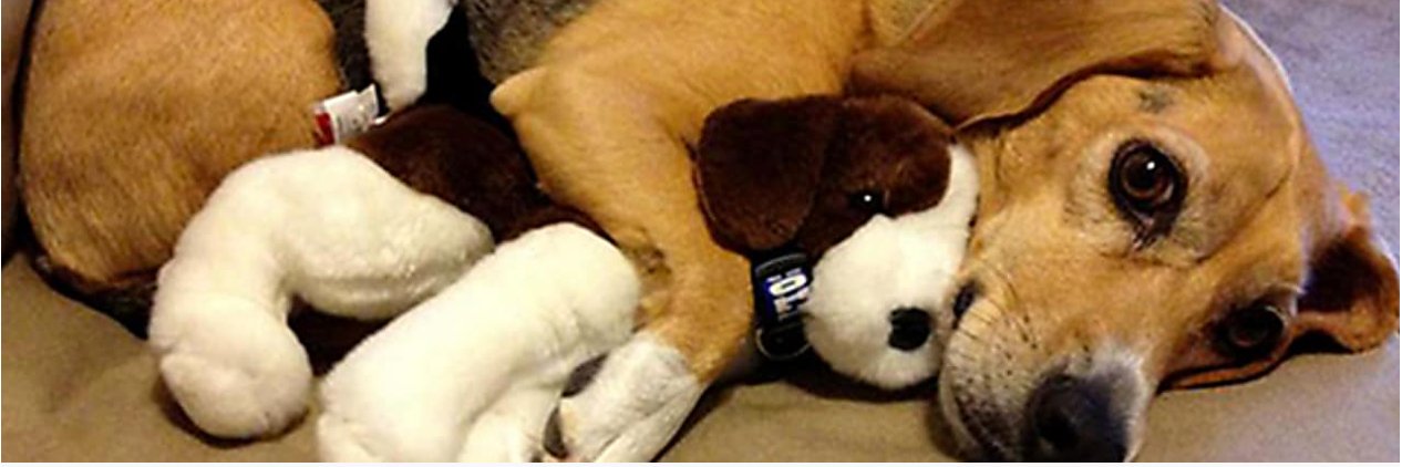 itsbaxter's profile banner image