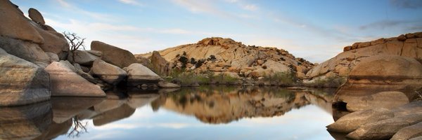 rtorney Profile Banner