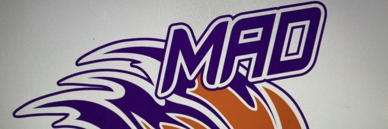 Mad Skillz AAU banner
