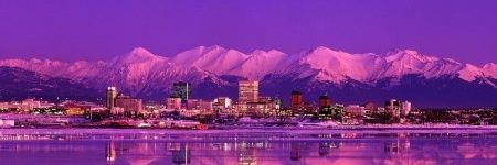 beatrootsalaska's profile banner image