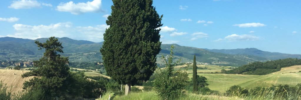 EmmaFlies's profile banner image