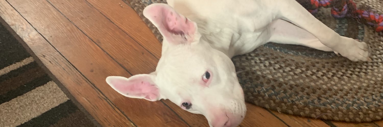 CAM_younot's profile banner image