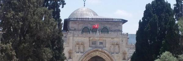elghafri's profile banner image