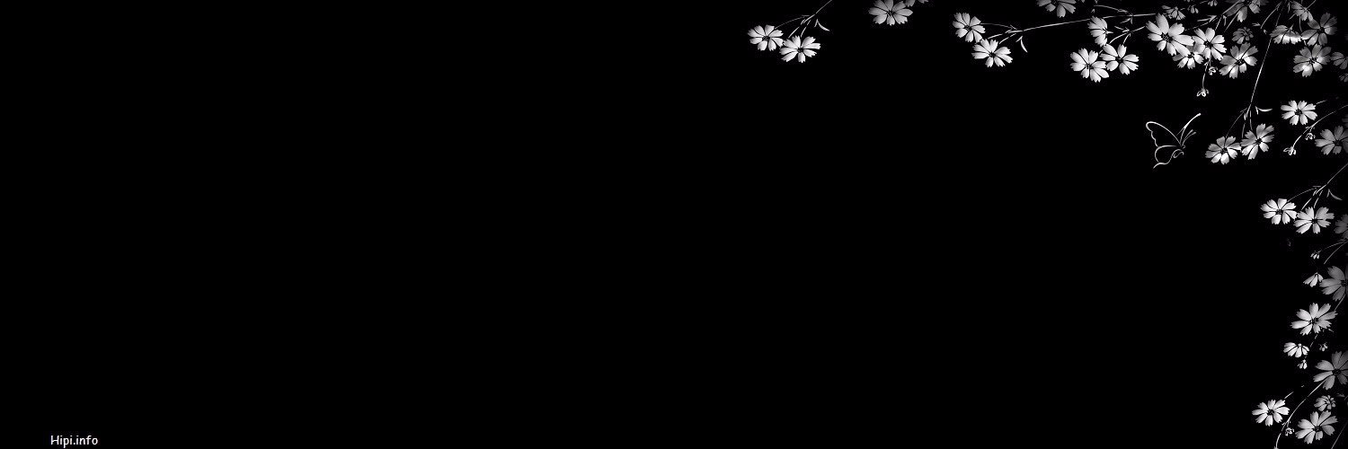 crazyboutziam's profile banner image