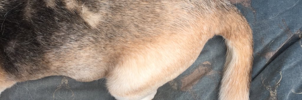 HelenaMariaLaws's profile banner image