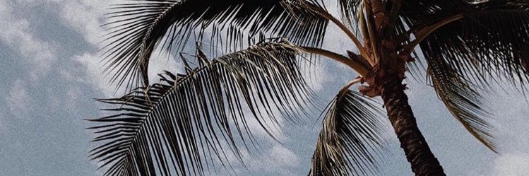 satellitelza's profile banner image