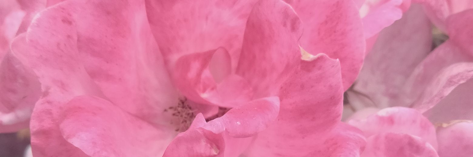 versythe's profile banner image