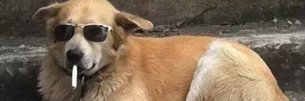Carlosjarlos Profile Banner