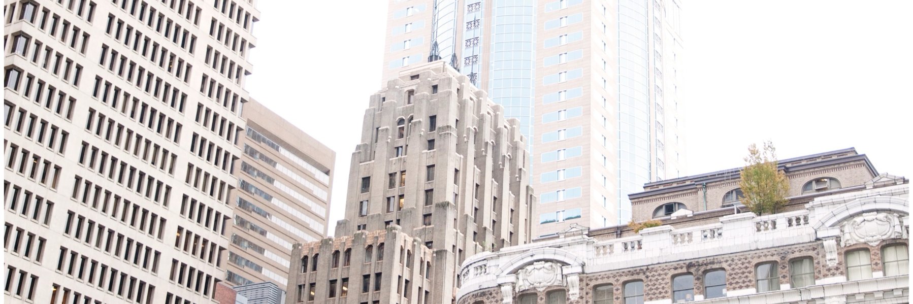 CarinaStyles's profile banner image