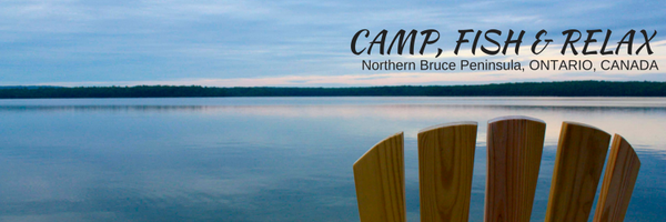 MTCBrucePen Profile Banner