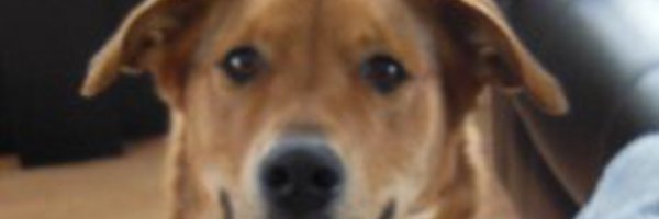 Smith69993166 Profile Banner