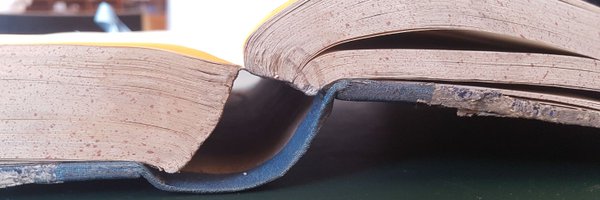 SlineL Profile Banner