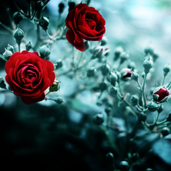 n5n58's profile banner image