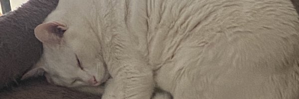 JacquesDexter Profile Banner