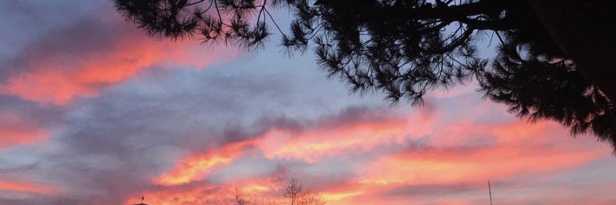 caaarools's profile banner image