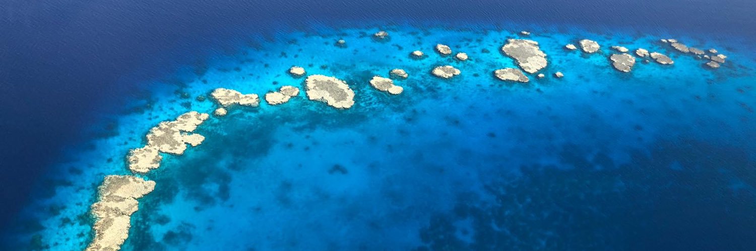 Jonathan Gray banner