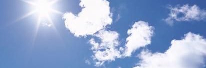 vi banner