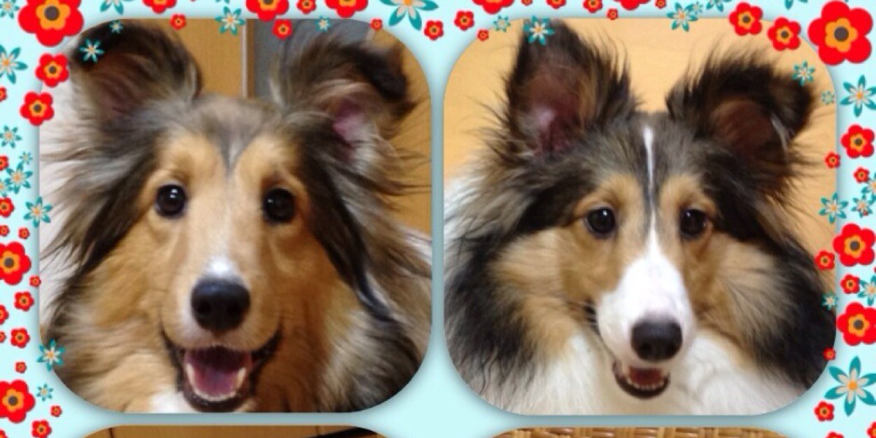 eddireader99's profile banner image