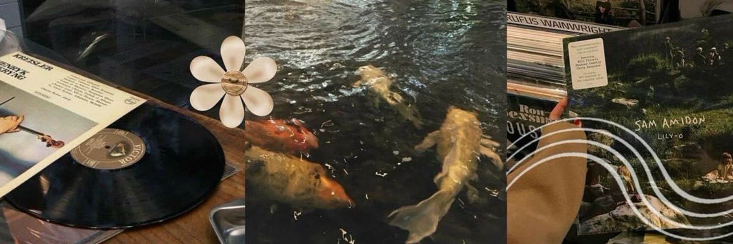 mars 🦌 fish day every day ‼️ banner