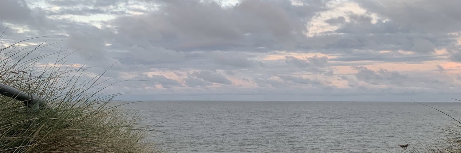 MoMoElsi1's profile banner image