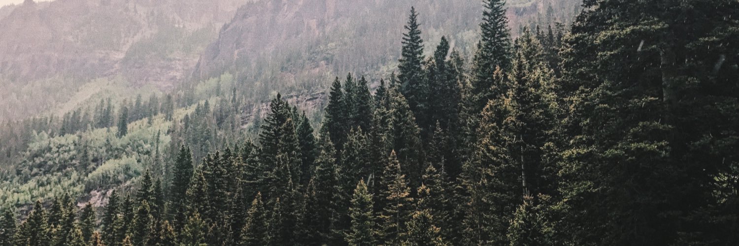 AshlynStott's profile banner image