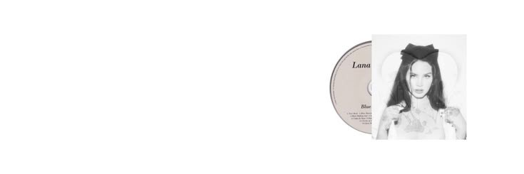 shee banner