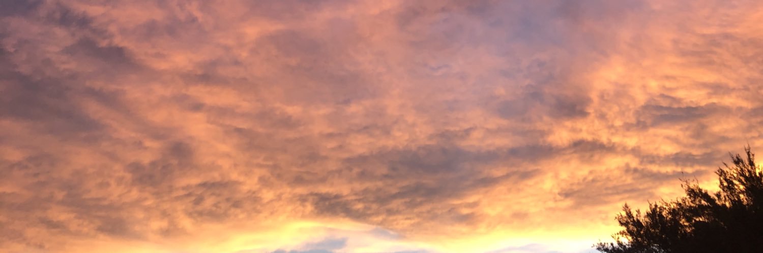 agus_figueredo's profile banner image